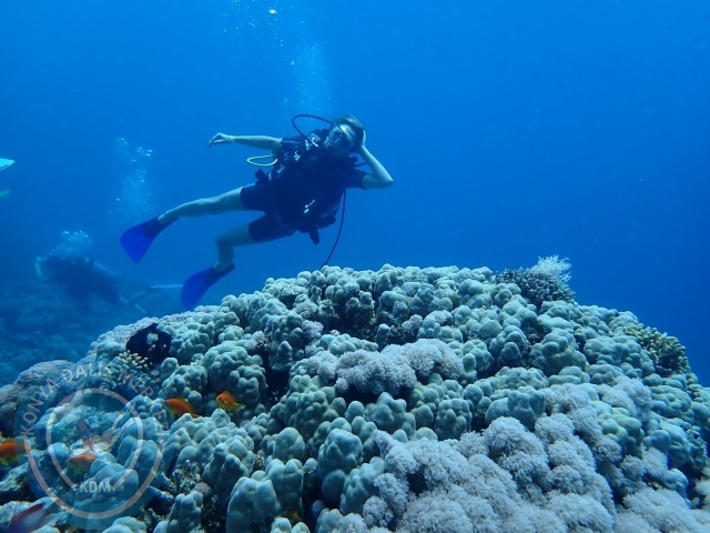 13-18 Mayıs Sharm