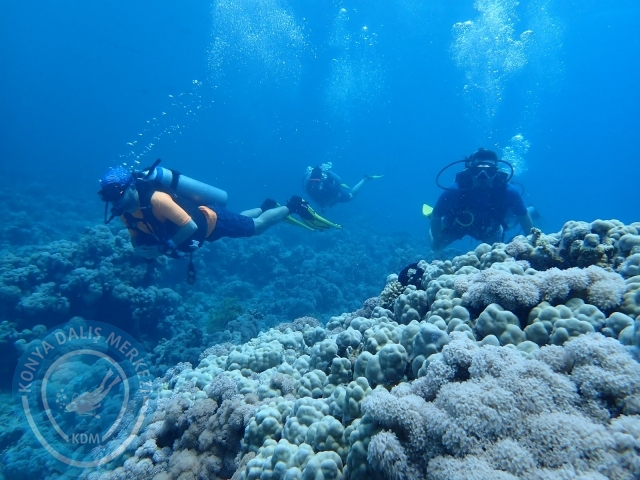 13-18 Mayıs Sharm