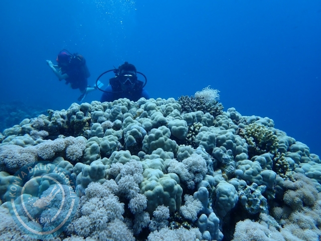 13-18 Mayıs Sharm