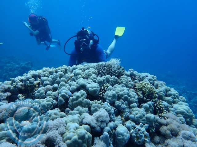 13-18 Mayıs Sharm