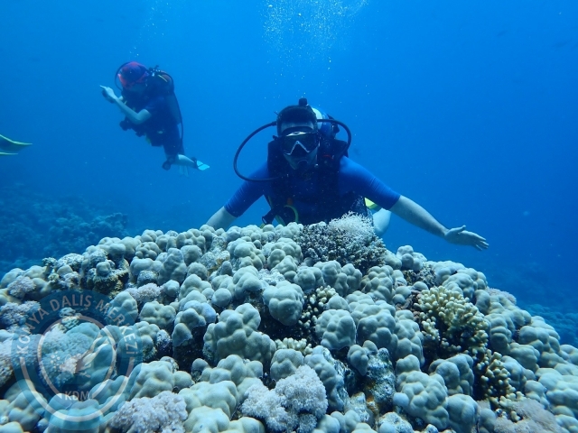 13-18 Mayıs Sharm