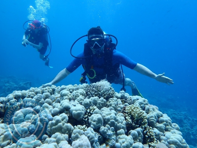 13-18 Mayıs Sharm