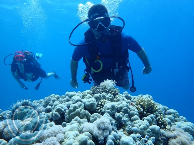 13-18 Mayıs Sharm
