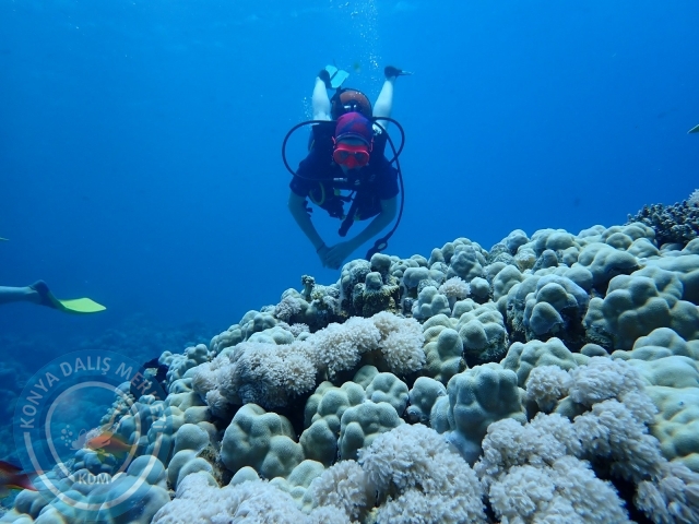 13-18 Mayıs Sharm