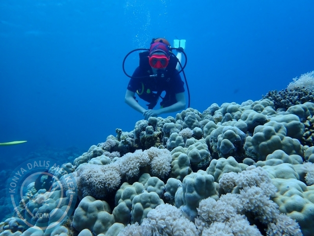 13-18 Mayıs Sharm