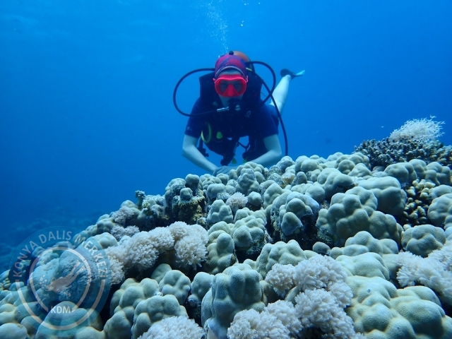 13-18 Mayıs Sharm