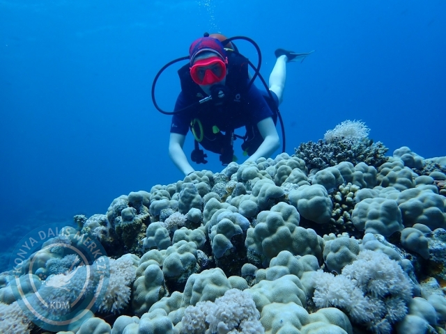 13-18 Mayıs Sharm