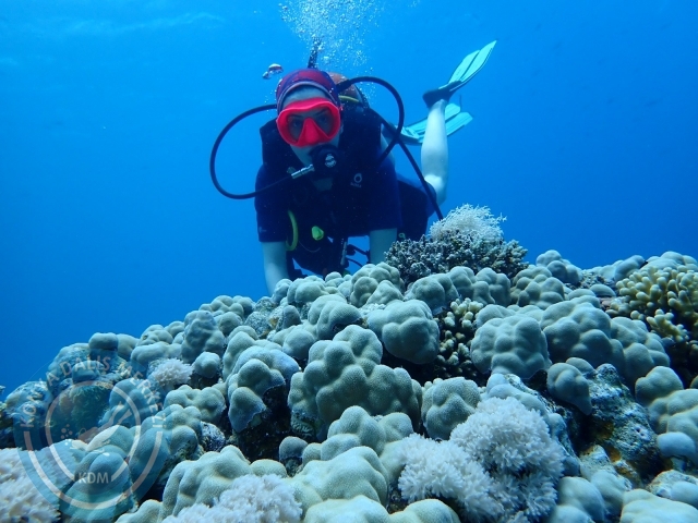 13-18 Mayıs Sharm