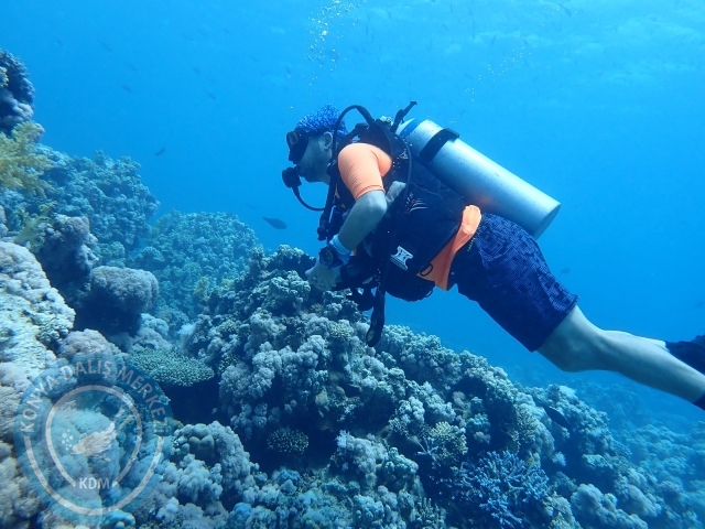13-18 Mayıs Sharm
