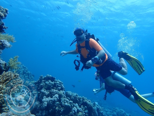 13-18 Mayıs Sharm