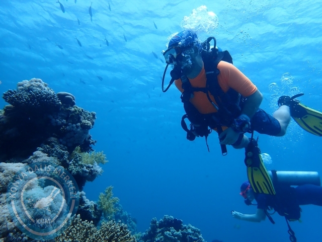 13-18 Mayıs Sharm