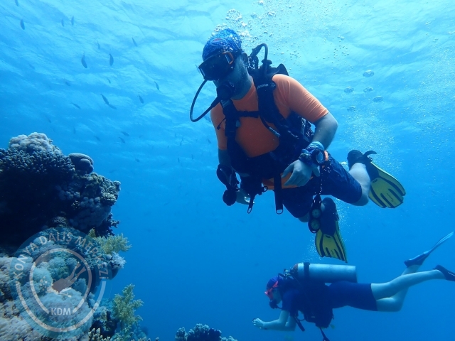 13-18 Mayıs Sharm