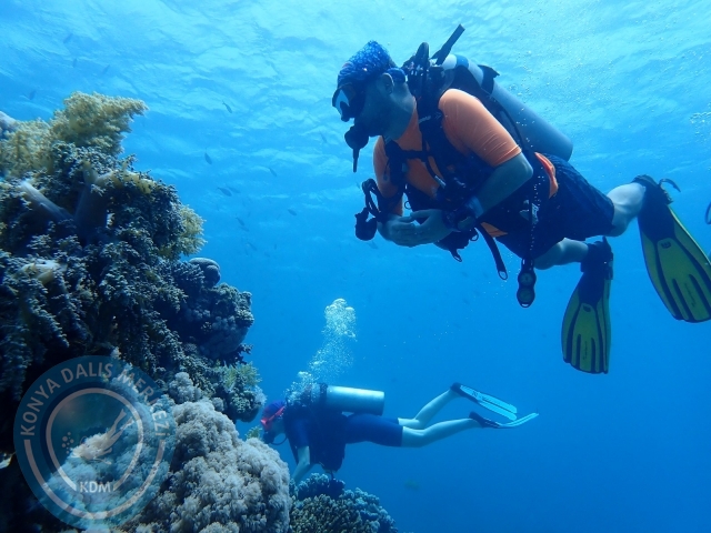 13-18 Mayıs Sharm