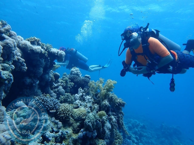 13-18 Mayıs Sharm