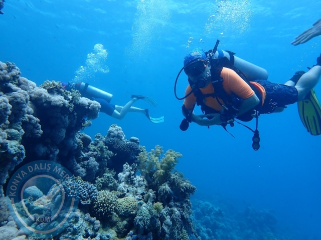 13-18 Mayıs Sharm