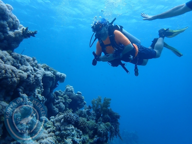 13-18 Mayıs Sharm