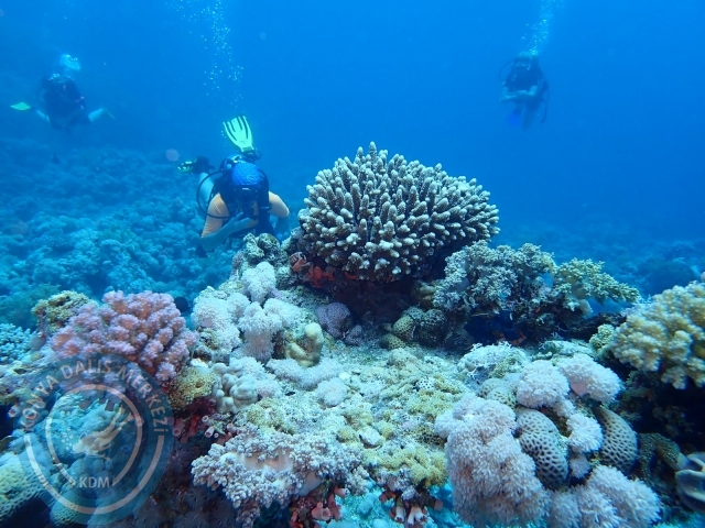 13-18 Mayıs Sharm