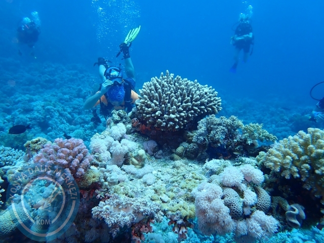 13-18 Mayıs Sharm