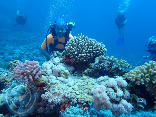 13-18 Mayıs Sharm