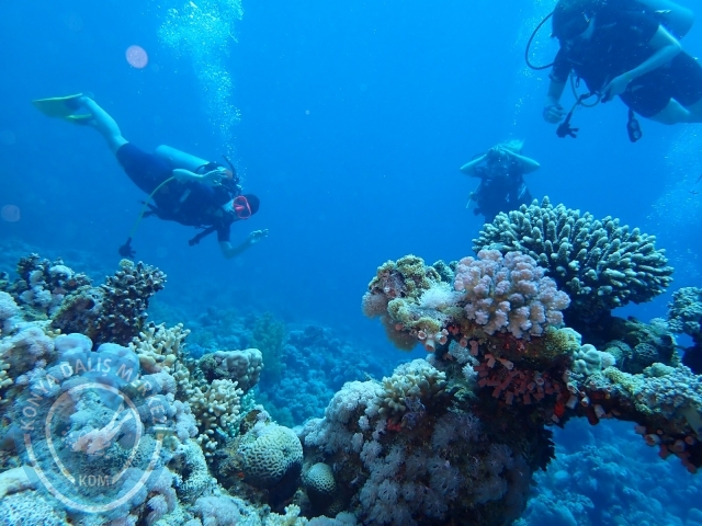 13-18 Mayıs Sharm