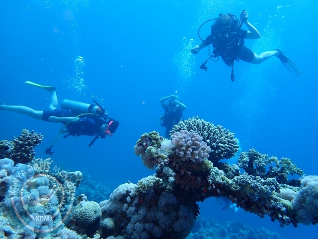 13-18 Mayıs Sharm