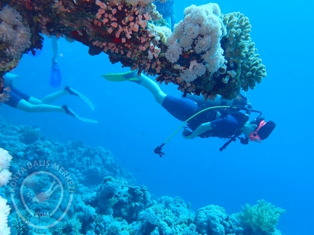 13-18 Mayıs Sharm