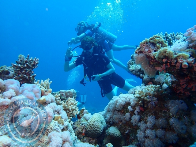 13-18 Mayıs Sharm