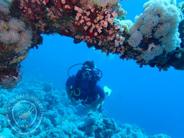 13-18 Mayıs Sharm