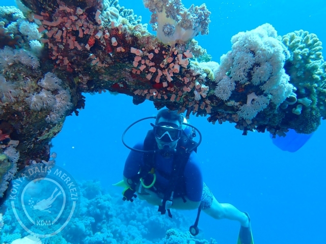 13-18 Mayıs Sharm
