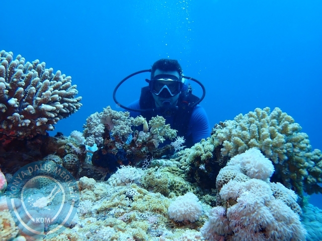 13-18 Mayıs Sharm