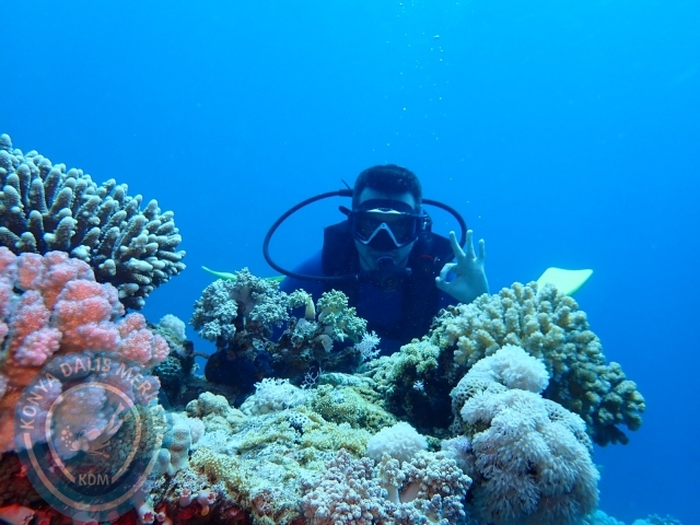 13-18 Mayıs Sharm