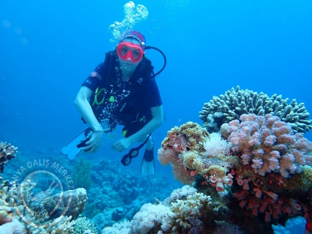13-18 Mayıs Sharm