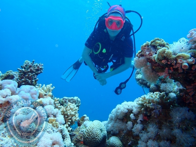 13-18 Mayıs Sharm