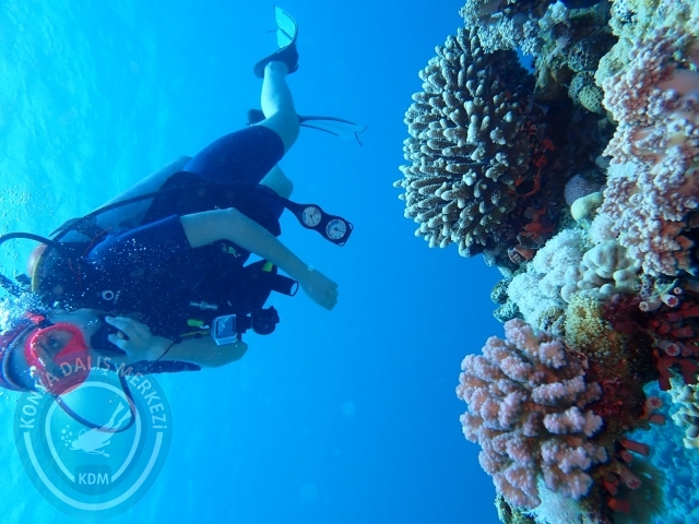 13-18 Mayıs Sharm