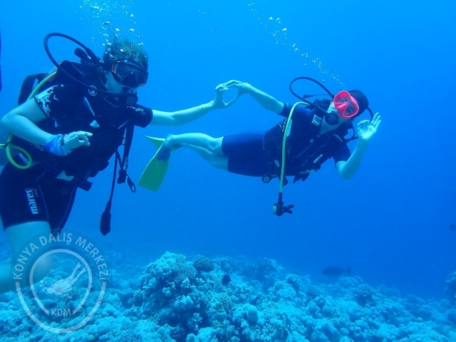 13-18 Mayıs Sharm