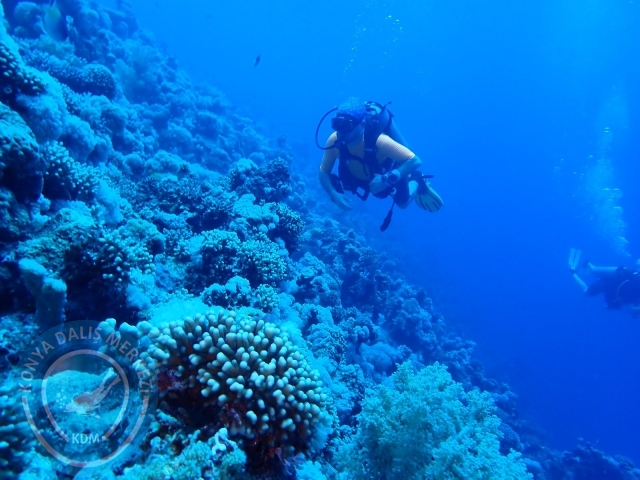 13-18 Mayıs Sharm