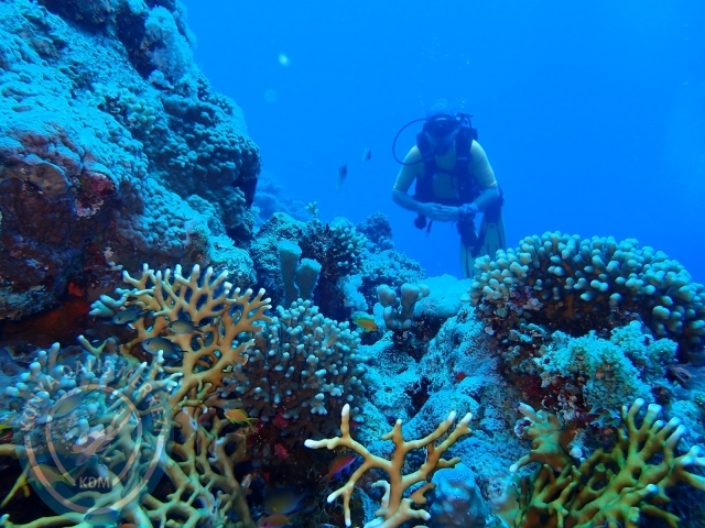 13-18 Mayıs Sharm