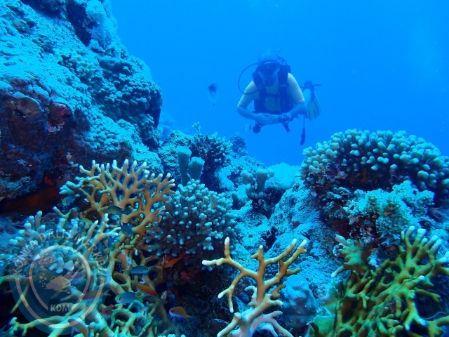 13-18 Mayıs Sharm