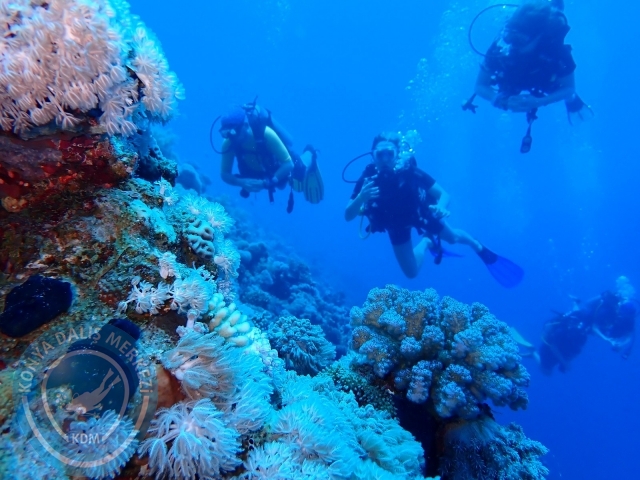 13-18 Mayıs Sharm