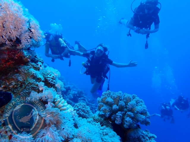 13-18 Mayıs Sharm