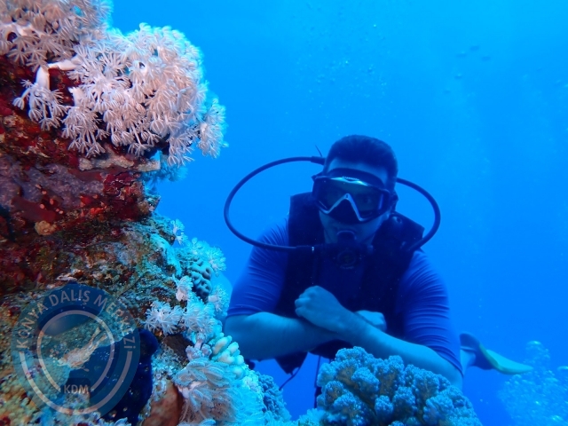 13-18 Mayıs Sharm