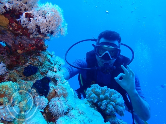 13-18 Mayıs Sharm