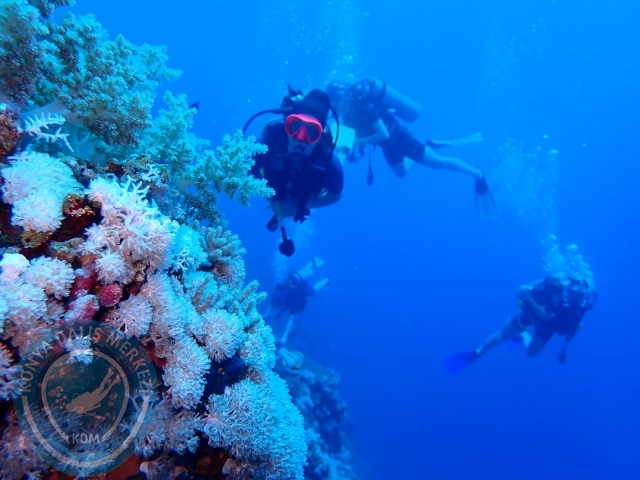 13-18 Mayıs Sharm