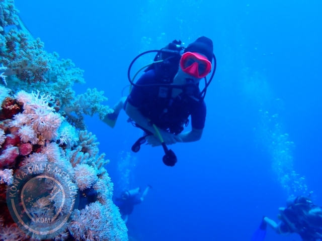 13-18 Mayıs Sharm