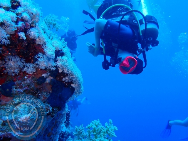 13-18 Mayıs Sharm