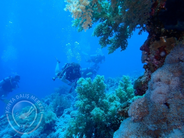13-18 Mayıs Sharm