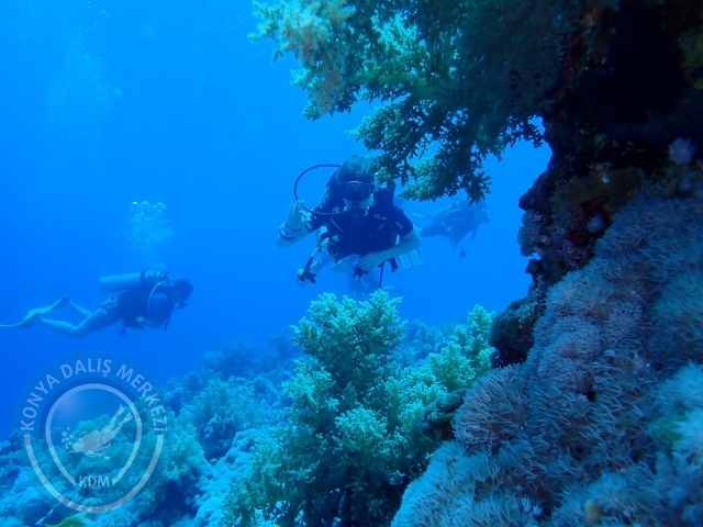 13-18 Mayıs Sharm
