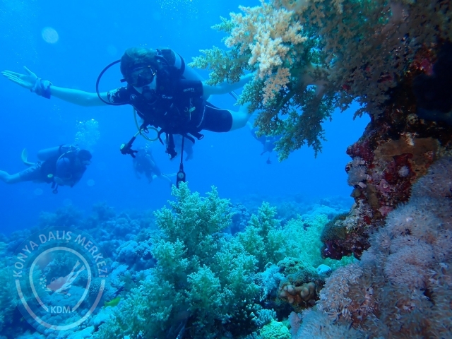 13-18 Mayıs Sharm