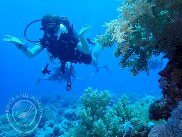 13-18 Mayıs Sharm