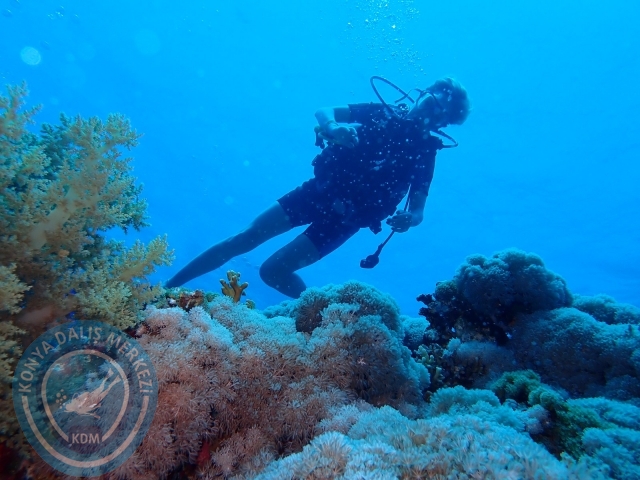 13-18 Mayıs Sharm